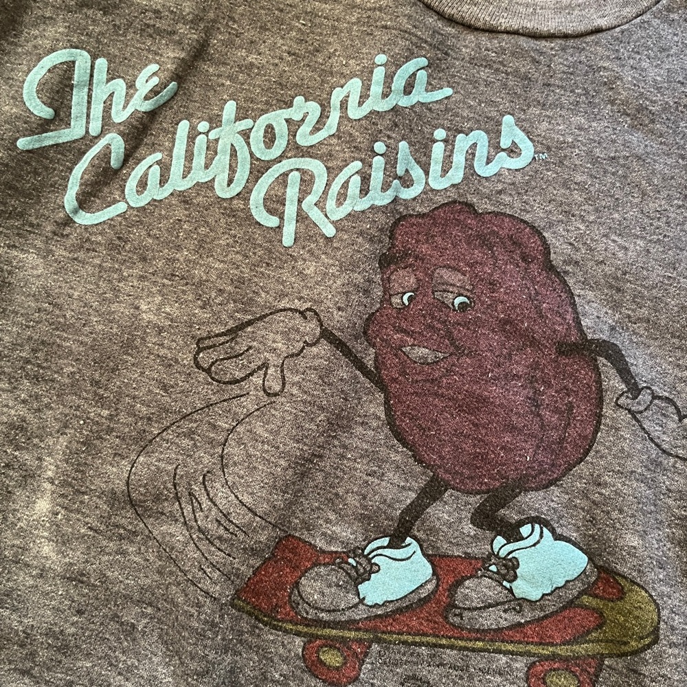 Raisins vintage sweater American Vintage Gray